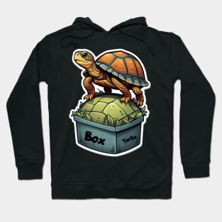 Box Turtle Hoodie